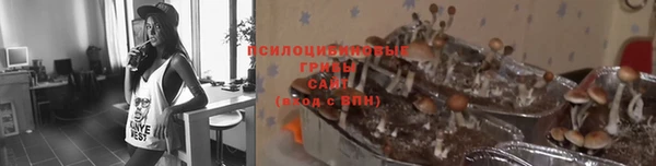 СК Абаза