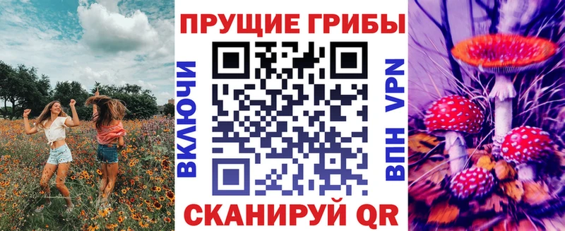 кракен онион  Трубчевск  Псилоцибиновые грибы Magic Shrooms 